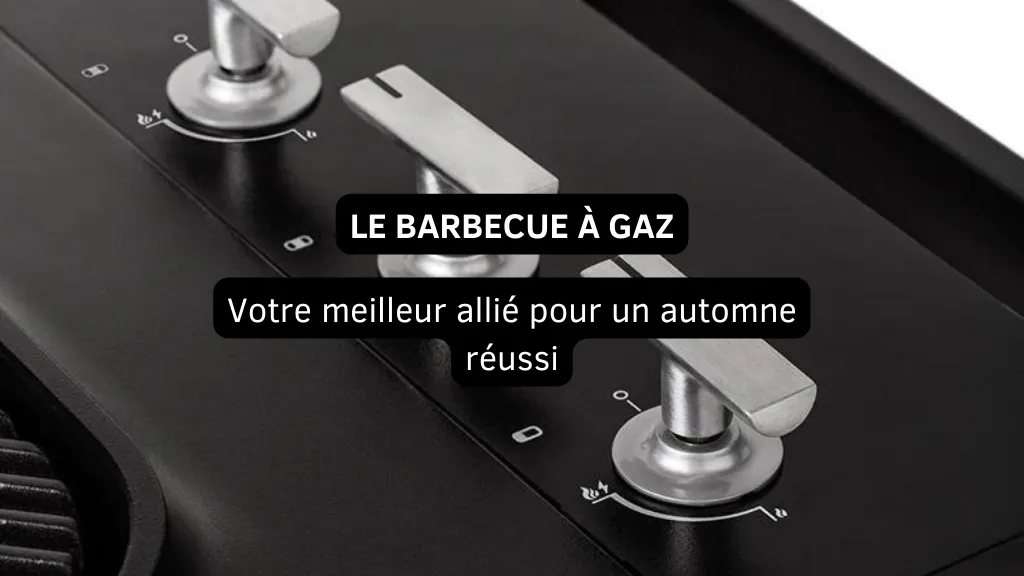 Le Barbecue à Gaz : Votre Meilleur Ami pour l'Automne