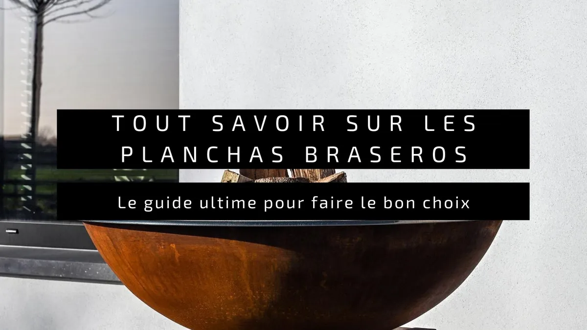 Tout Savoir sur les Plancha-Braseros : Guide Complet